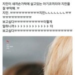 [방탄소년단] 박짐니 아기<b>코끼리</b>ㅠㅠㅠ