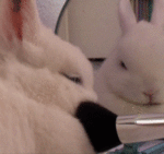 예쁜 <b>꽃말</b> 잘 아는 애들앙