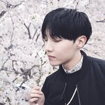 [방탄소년단] 벚꽃소년단.<b>jpg</b>