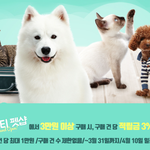 뉴트리나 비스트로 고양이캔 7종 싸게 파네요.