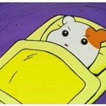 [댓글부탁해] 나반장인데 <b>체대</b>때 뭐살까