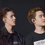 [EXO] 엑솔루션 <b>안</b> <b>간</b> 사람은 삼-류다..