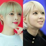 [모두드루와] [짤줍] 만화 찢고 나온 듯한 아이돌 멤버 ,초아...