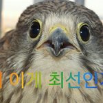 [EXO] <b>교수</b>가 내 과제를 보는 표정