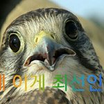 [EXO] 자네 이게 <b>최선</b>인가