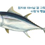 [다이어트] <b>참치</b>로 태어날껄...