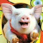 [조언부탁해] 나 <b>도끼</b>병심해?ㅠㅠ