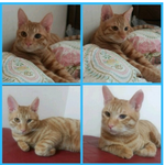 오늘도..내일도..하염없이 기다립니다..