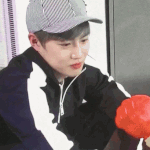 [EXO] 이 움짤 노이즈 없는 엑톡년?