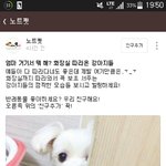 [댓글부탁해] 카톡 이거 <b>출처</b> 판인거 같은데
