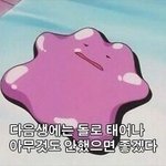 진짜 어떡하냐