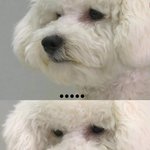 [댓글부탁해] 나 오늘 거짓말 했다