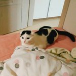 [댓글부탁해] 양홍원vs<b>장용준</b>