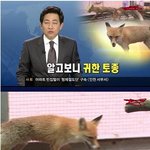 [콜로라도] 어느 개장수의 <b>위엄</b>.jpg