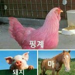 [10대의성] 얘<b>드라</b> 6학년이