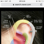 [EXO] <b>연골</b> 뚫을건데 어디뚫을까