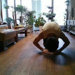 [강아지] 옷호!! 지난주 월요일에 톡이 됬었네요!!