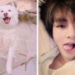 [방탄소년단] <b>주인</b> 닮아가네