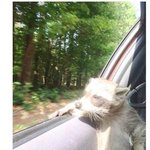 [드루와] 포토샵 해줄겡ㅋㅋㅋ
