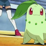 아이돌들 활동명에 관하여(주관포함)