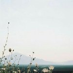 [드루와] 분위기 존예 <b>보장</b> 배경화면 공유