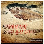 [콜로라도] 세계에서 가장 오래된 <b>다섯</b>개의 음식.jpg