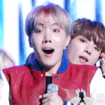 [방탄소년단] 브라질<b>아미</b>들이개쩌는이유ㅋㅋㅋㅋㅋ