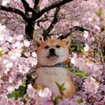[댓글부탁해] <b>생리냄새</b> ㅈ된다
