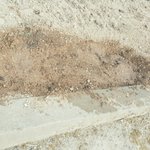 [EXO] 엑소<b>상추</b>성장일기5