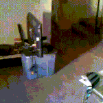 [댓글부탁해] 시바견 이름 이거어떰