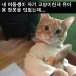 [댓글부탁해] 생리대갈때 <b>서서</b>간다vs앉아서간다 추반