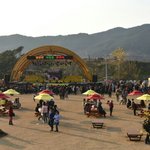 [같이봐요] 제18회 구례<b>산수유</b>꽃축제 개막