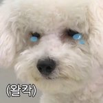 [추반부탁해] 2탄) 얘들아 아리따움 섀도우 <b>모노</b>아이즈 댓글에 쓸테니까!