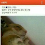 카카오스토리 짤 <b>풀자</b>!