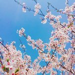 너네는 <b>인과응보</b> 믿음?