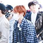[백현] 멍뭉백현 <b>공항</b> 고화질