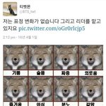 [방탄소년단] 아낰ㅋㅋㅋ드립ㅋㅋㅋㅋ