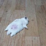 가방에<b>명찰</b>다는거이상함?