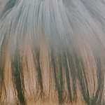 <b>앞머리</b> <b>혼자</b> 잘랐는데