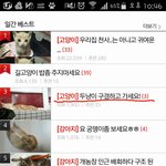 [고양이] 두냥이 구경하고 가세요!(2)