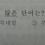 [댓글부탁해] 이거 뭐냐? ㅅㅂ
