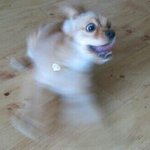 [댓글부탁해] 얘들아 화장 안 하면 우스워<b>보임</b>?