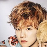 [EXO] 보1그 안살라햤는데 사야겠다...변백현 미침