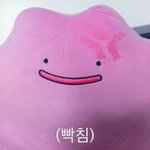 [댓글부탁해] 자퇴 관련 질문한당