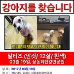 [꼭댓글부탁] (추가)가족을찾습니다 제발 봐주세요