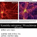 [댓글부탁해] 제일 충격적인 경우 골라봐 ㅇㅇ