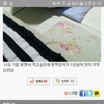 [꼭댓글부탁] <b>일간</b>베스트에 올라온 미친 글
