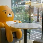 [드루와] 200년된 <b>초코</b>가게 + 달달한 대추차 조합