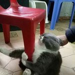[댓글부탁해] <b>배우</b> <b>준비</b>하는 애들 다 드루와!
