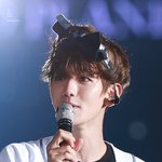 [EXO] 생일선물로 얘 받기 vs <b>애완</b>펭귄 키우기